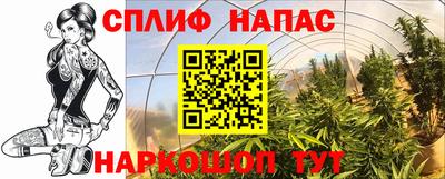 амф Краснодар