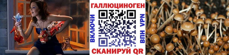маркетплейс Telegram  Солнечногорск  Галлюциногенные грибы ЛСД 