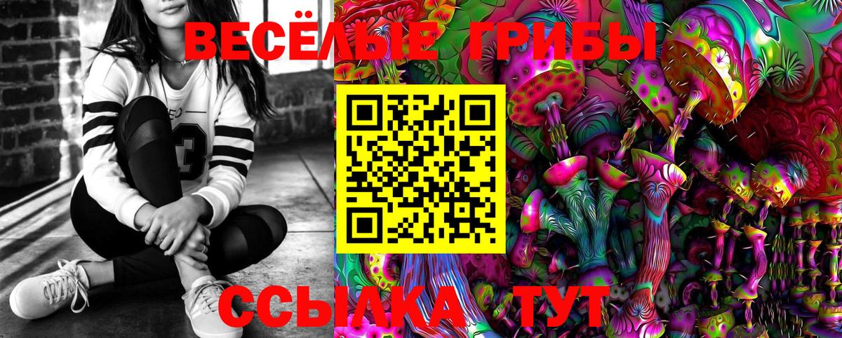 Псилоцибиновые грибы Cubensis  Вход с VPN  где продают   Солнечногорск 